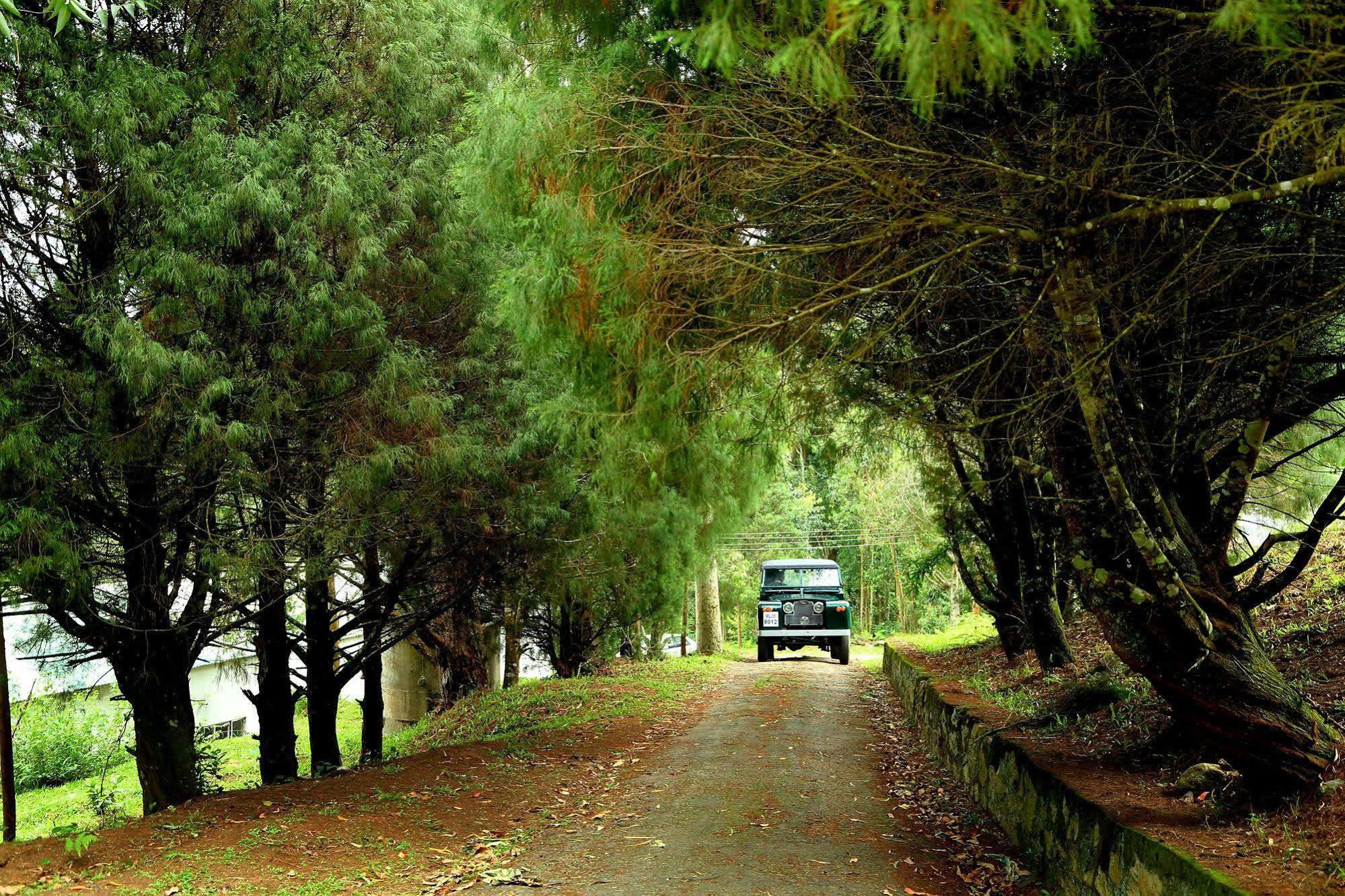 Green Jungle Holiday Resort Муннар Экстерьер фото